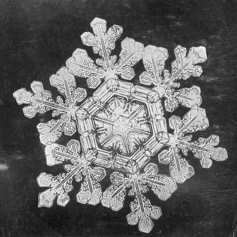 snowflake7