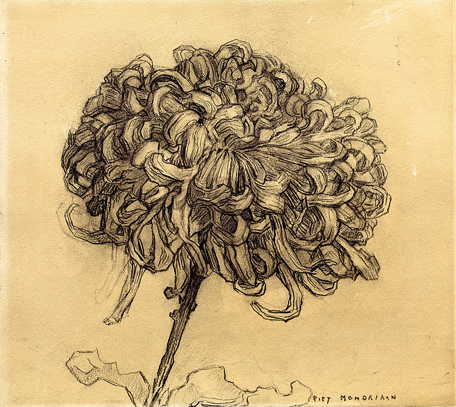 Mondrian Chrysanthemum